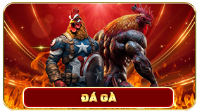 Đá gà