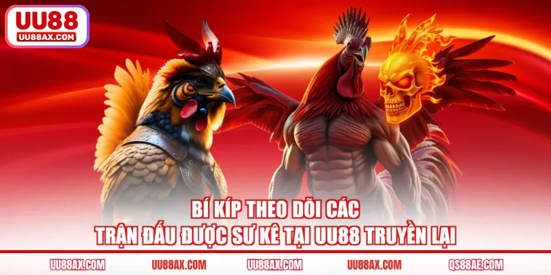 Bí kíp theo dõi các trận đấu được sư kê tại UU88 truyền lại