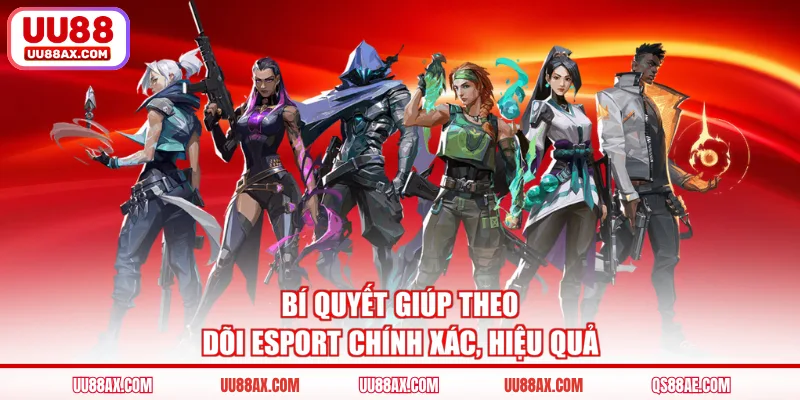 Bí quyết giúp theo dõi Esport chính xác, hiệu quả