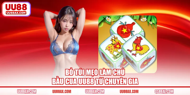 Bỏ túi mẹo làm chủ bầu cua UU88 từ chuyên gia