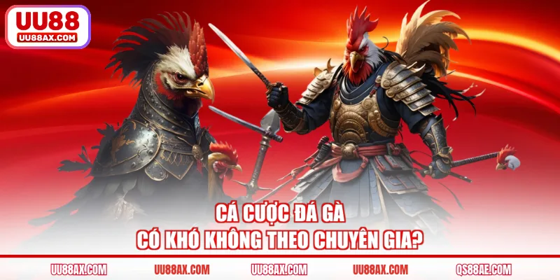 Cá cược đá gà có khó không theo chuyên gia?