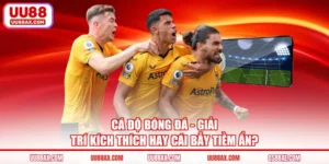 Cá Độ Bóng Đá - Giải Trí Kích Thích Hay Cái Bẫy Tiềm Ẩn?