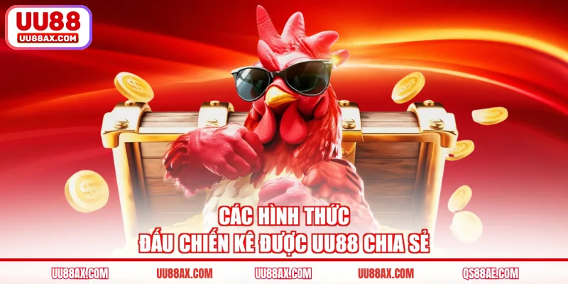 Các hình thức đấu chiến kê được UU88 chia sẻ