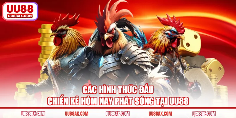 Các hình thức đấu chiến kê hôm nay phát sóng tại UU88