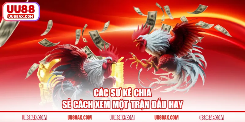 Các sư kê chia sẻ cách xem một trận đấu hay