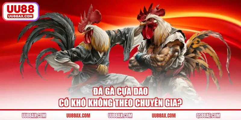 Đá gà cựa dao có khó không theo chuyên gia?