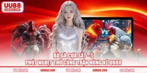 Đá Gà Cựa Sắt - 5 Phút Nghẹt Thở Cùng Trận Hùng Kê UU88