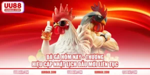 Đá Gà Hôm Nay - Thương Hiệu Cập Nhật Lịch Đấu Mới Liên Tục