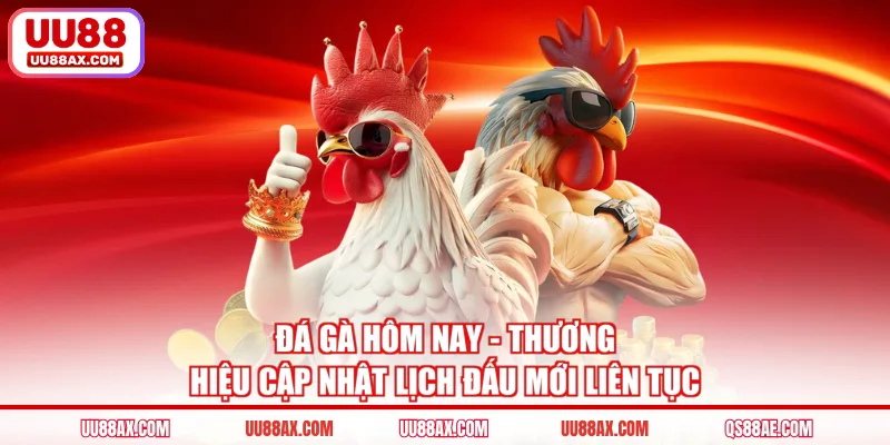 Đá Gà Hôm Nay - Thương Hiệu Cập Nhật Lịch Đấu Mới Liên Tục