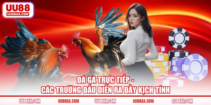 Đá Gà Trực Tiếp - Các Trường Đấu Diễn Ra Đầy Kịch Tính