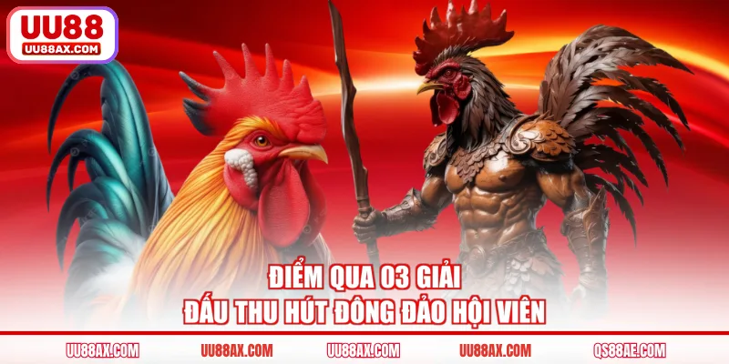 Điểm qua 03 giải đấu thu hút đông đảo hội viên