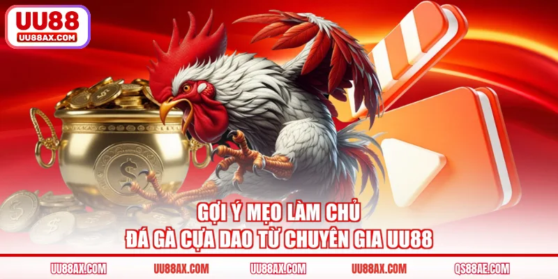 Gợi ý mẹo làm chủ đá gà cựa dao từ chuyên gia UU88