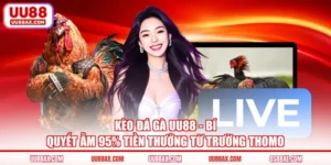 Kèo Đá Gà UU88 - Bí Quyết Ẵm 95% Tiền Thưởng Từ Trường Thomo
