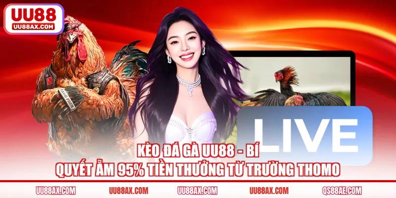 Kèo Đá Gà UU88 - Bí Quyết Ẵm 95% Tiền Thưởng Từ Trường Thomo