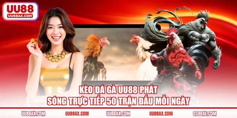 Kèo đá gà UU88 phát sóng trực tiếp 50 trận đấu mỗi ngày