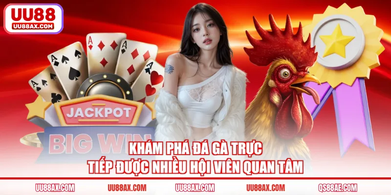 Khám phá đá gà trực tiếp được nhiều hội viên quan tâm