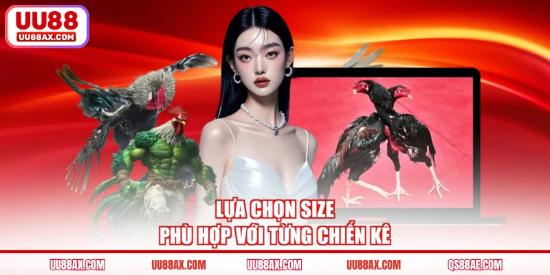 Lựa chọn size phù hợp với từng chiến kê