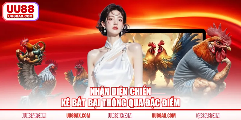 Nhận diện chiến kê bất bại thông qua đặc điểm