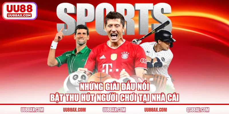 Những giải đấu nổi bật thu hút người chơi tại nhà cái