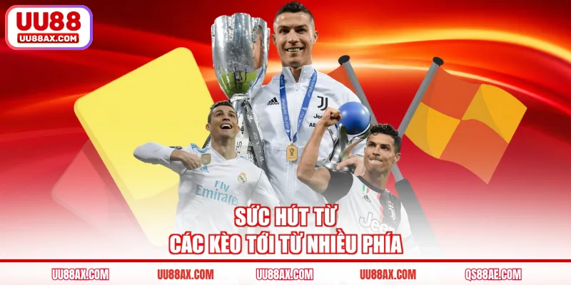 Sức hút từ các kèo tới từ nhiều phía