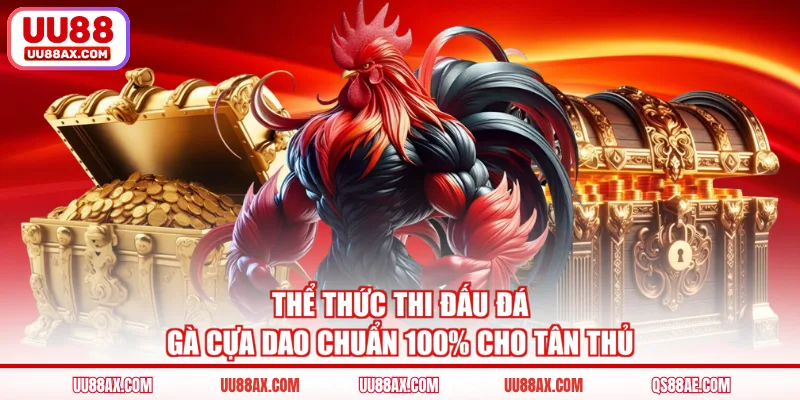 Thể thức thi đấu đá gà cựa dao chuẩn 100% cho tân thủ