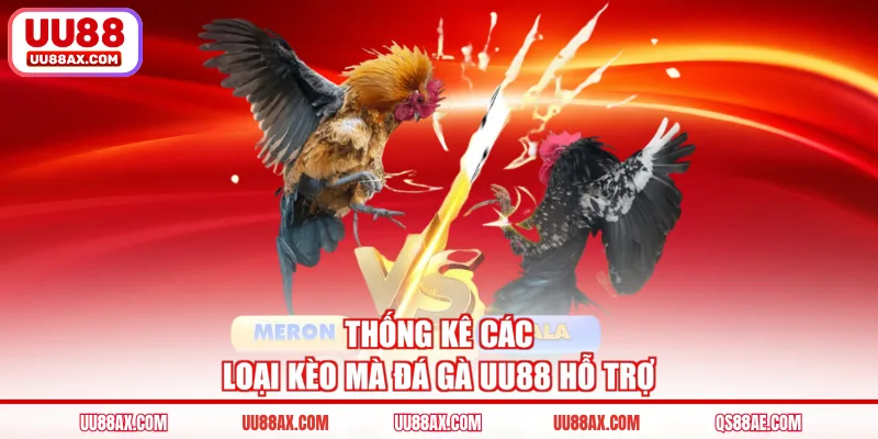 Thống kê các loại kèo mà đá gà UU88 hỗ trợ