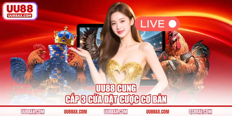 UU88 cung cấp 3 cửa đặt cược cơ bản