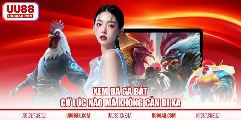 Xem đá gà bất cứ lúc nào mà không cần đi xa